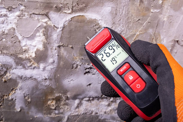 Best Localized Mold Remediation (e.g., coastal areas, humid climates) in Midway South, TX