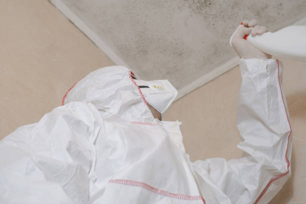 Best Mold Remediation for Schools in Midway South, TX